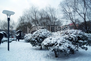 公园雪景