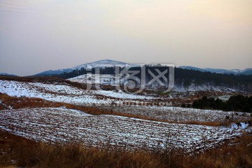 乡村雪韵