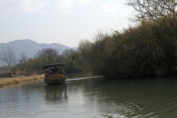 杭州 西溪湿地 田园景色 湿地