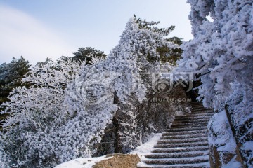 黄山雪淞