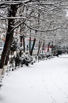 雪景