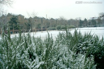 校园雪景