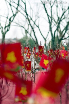 春节 贺卡 民俗 东方元素