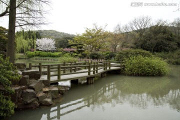 无锡鼋头渚风景区 鼋头渚 樱花