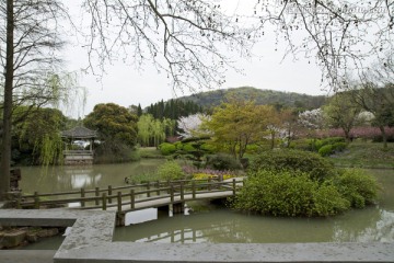 无锡鼋头渚风景区 鼋头渚 樱花