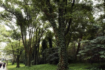 无锡鼋头渚风景区 鼋头渚 园林