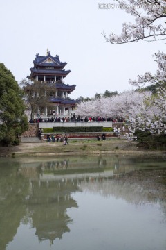 无锡鼋头渚风景区 鼋头渚 无锡