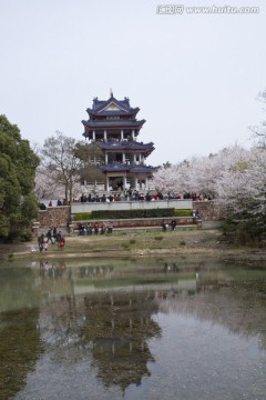 无锡鼋头渚风景区 鼋头渚 无锡