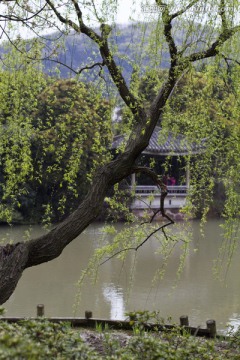 无锡鼋头渚风景区 鼋头渚 园林