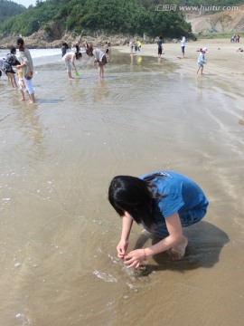 沙滩捡贝壳