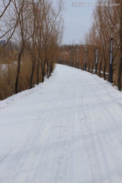 白雪覆盖的小路