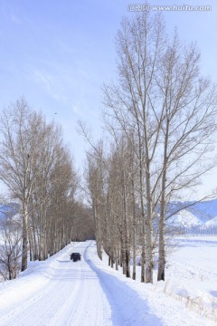 雪路