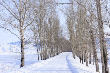 雪路