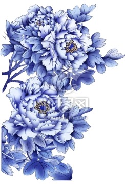 牡丹花 青花 花紋