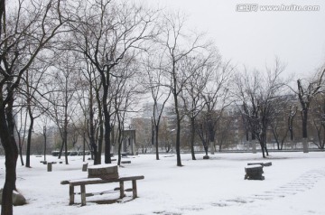 雪景