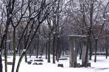 雪景