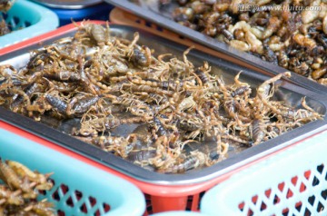 麗江古城油炸小蝎子