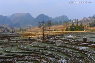 风景