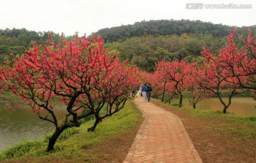 广东佛山南国桃园