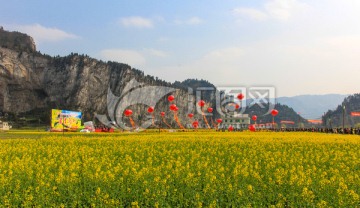 四川古蔺双沙油菜花