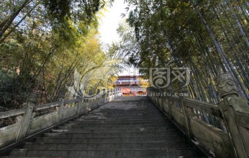 雷山禅寺