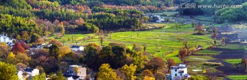 秋色农庄 塔川红叶