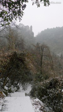 中国四川 九寨沟 原生态 雪景