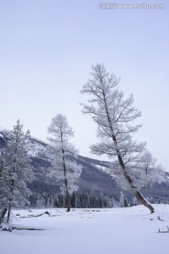 冬雪