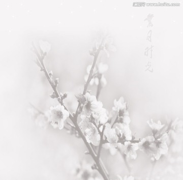 噴墨花片