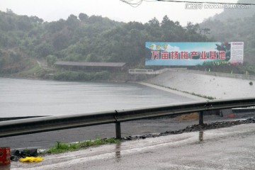 浙江 余姚 杨梅种植基地 乡村