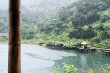 浙江 余姚 杨梅种植基地 乡村