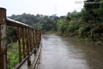 浙江 余姚 杨梅种植基地 乡村