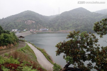 浙江 余姚 杨梅种植基地 乡村