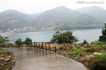 浙江 余姚 杨梅种植基地 乡村