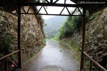 浙江 余姚 杨梅种植基地 乡村