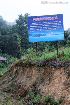 浙江 余姚 杨梅种植基地 乡村