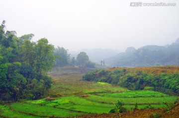 春色 田园