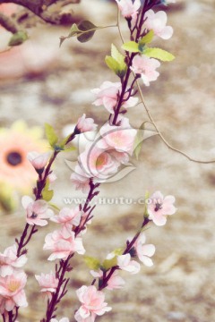 梅花 裝飾畫