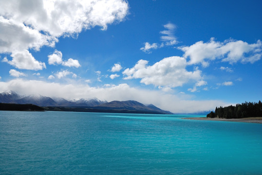 新西兰普卡基湖
