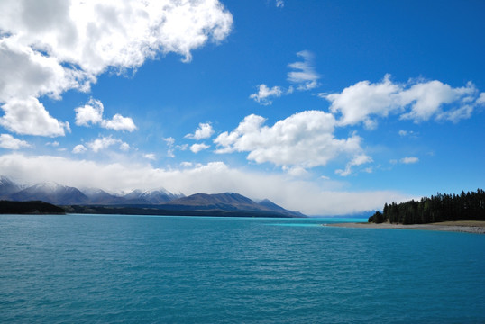 新西兰普卡基湖