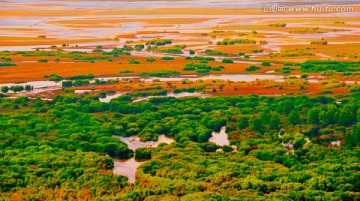 根河湿地