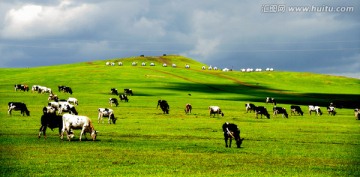 草原牧场