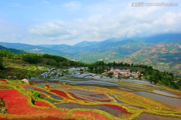 元阳梯田