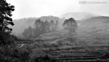 风景水墨