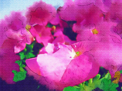 水彩花卉装饰画