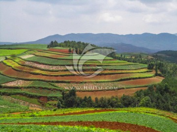 云南东川红土地乐谱凹