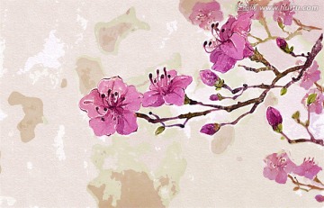 油畫(huà) 花卉 裝飾畫(huà) 無(wú)框畫(huà)