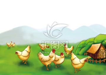 鄉(xiāng)村農(nóng)家土雞插圖