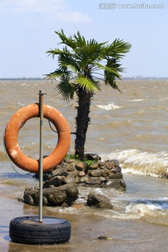 上海 淀山湖 休闲场所 湖畔