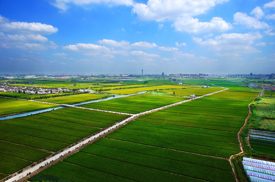 淀山湖田地